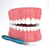 Dental model showing teeth with mirror on white background for educational purposes.