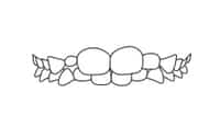 Two large teeth with decorative flourishes on either side against white background.